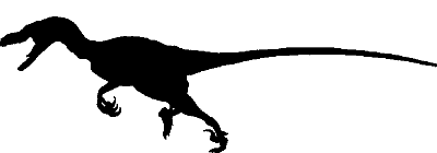 Running raptor